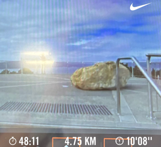 2月5～11日(木～水)／週5日のジムと週3日の整体通いルーティーン