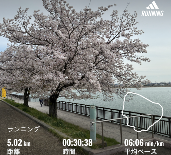 4月6日(月)～4/12(日)／足のコンディションは上向きに、ジャグジーのストレッチを取り入れ