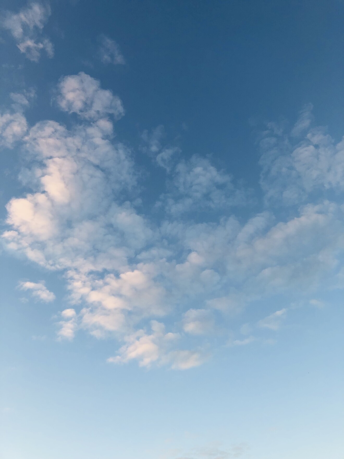 藤永慶子／青空にハート型の雲❤