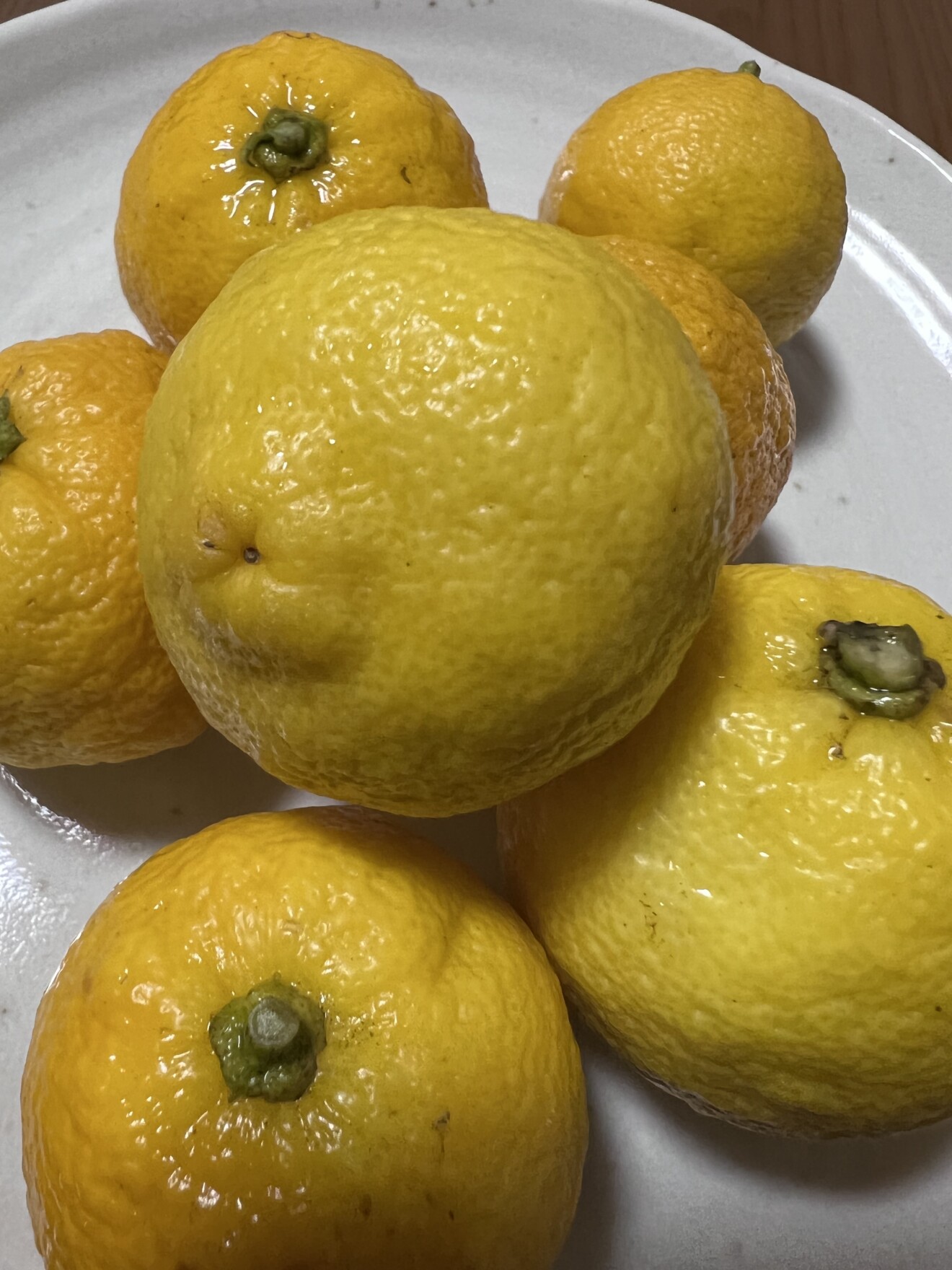 高比良 昭子さんの写真 柚子の保存食