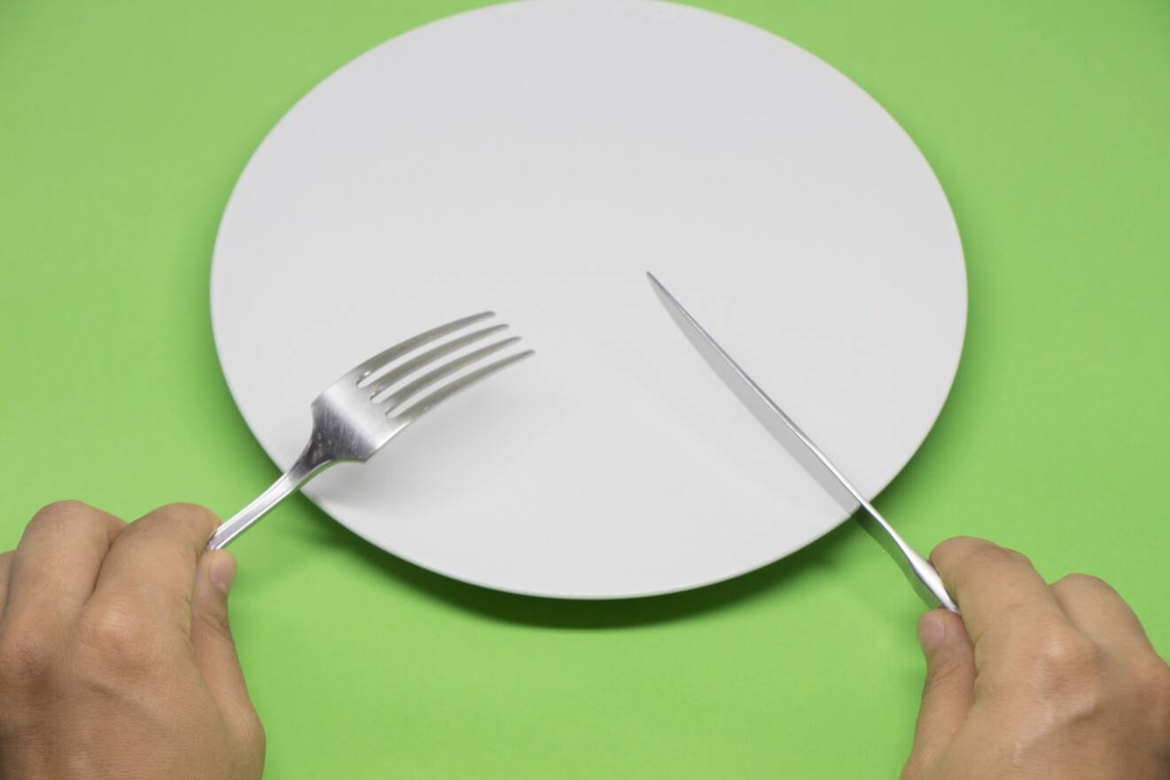 中沢康彦／食欲と空腹感が変わったらダイエットはつらいものではなくなるんです。ダイエット日記増刊号